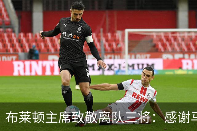 布莱顿主席致敬离队三将：感谢马奇、米尔纳和韦伯斯特的杰出贡献